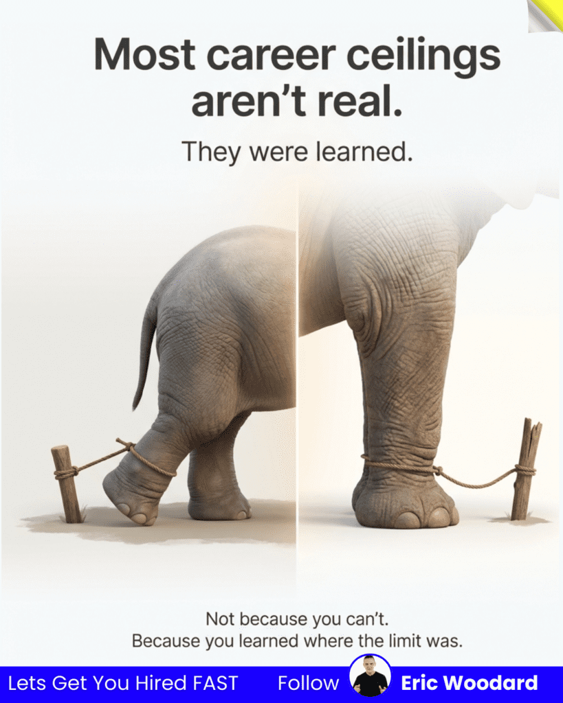 An imgae of an elephant learned where the limit was because of career growth mindset.