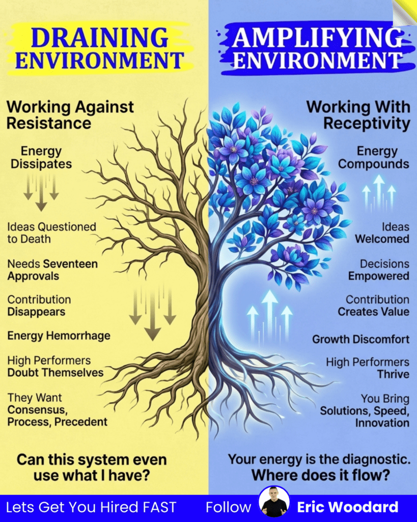 A tree showing Amplifying Environment and a Draining Toxic Work Environment.